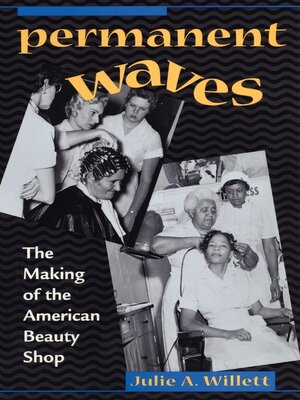 cover image of Permanent Waves
